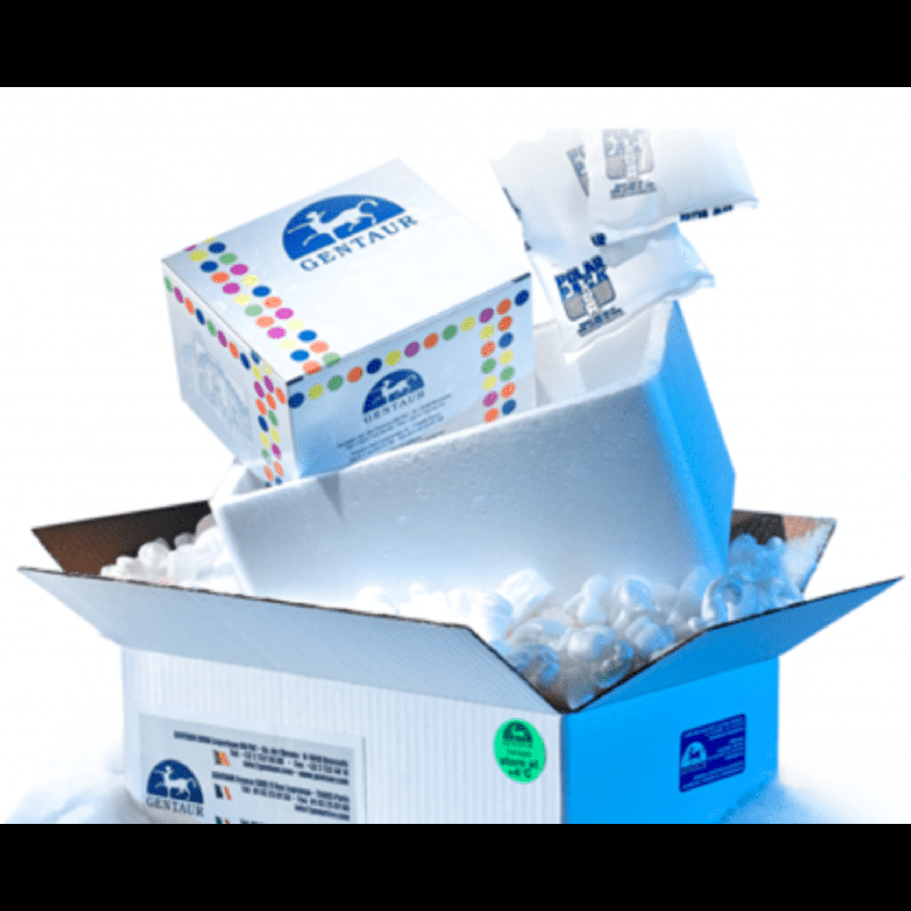 dNTP Set Solution (dATP, dCTP, dTTP, dGTP, 100 mM each)-4×400μl